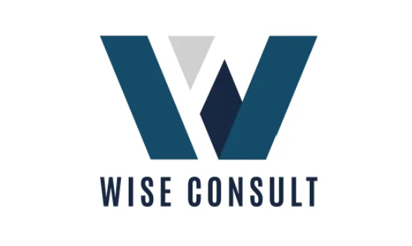 Logo Wise Consult